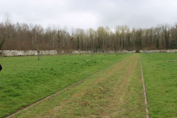L&#039;ancien potager de Chaalis transformé en verger, dont les premiers fruits pourront être cueillis dans quelques années.  © V.K