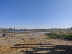 r la tourbière, vivent environ 500 espèces animales connues et 250 espèces végétales. © Aletheia Press / DLP