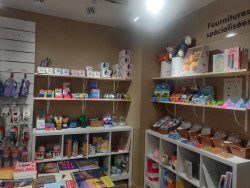La librairie indépendante compte aujourd’hui plus de 4 000 références © Aletheia Press / DLP