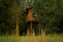Perchées dans les arbres, installées sur pilotis ou en bord de lac, ces cabanes nouvelle génération mi-sent sur un confort maximal. © Coucoo Cabanes
