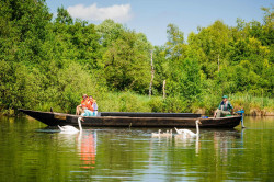 Des balades en bacôve sont possibles sur les marais d'Isle. (c) Colin