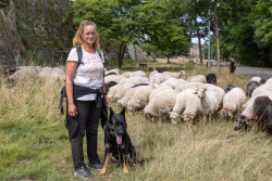 Myriam Clouet est la dernière bergère de l&#039;Aisne à avoir un troupeau en itinérance. © Marie-Line Waroude