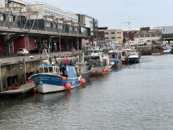 La marque concerne la pêche en mer comme en rivière, ainsi que l’élevage et la transformation. © Aletheia Press / Daniel Boulogne