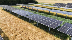 Production solaire et activité agricole cohabitent pour un développement durable. © European Energy