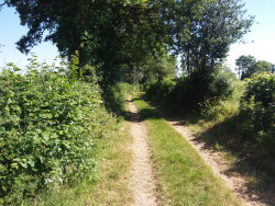 Les chemins ruraux, un patrimoine naturel à sauvegarder.