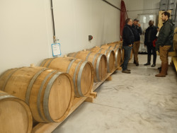 La grange de l’exploitation de Bruno Cardot est devenue le chai des vignes du Mont Pourceau.