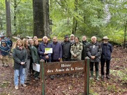 Membres des associations, élus, et responsables de l'ONF devant l'hêtre des Amis de la forêt de Retz.