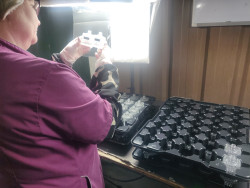 Laura a été attirée par les horaires proposés par Serdym. © Aletheia Press / DLP