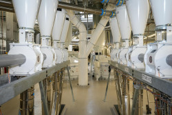 Tereos est le premier transformateur de céréales en France. © Michel Blossier