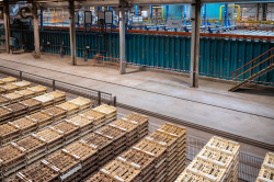 Les étapes du séchage et de la cuisson concentrent 90% des émissions de dioxyde de carbone. © Edillians 