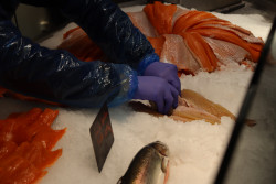 Transformés sur place, les poissons de la pisciculture sont vendus en direct à Anzin-Saint-Aubin. © Aletheia Press / E.Chombart