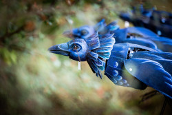 La création de Marie Godefroy sera présentée à Amiens et à Chassepierre en 2026. © Compagnie Madeleine Renard