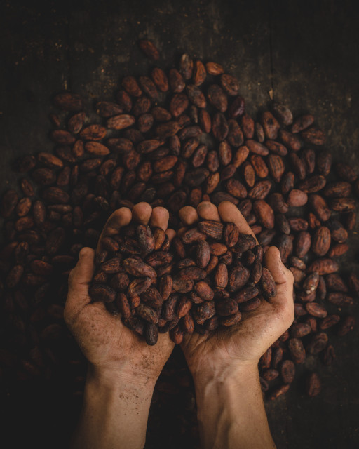 « ALLEX » promet un vrai régal aux amateurs du chocolat