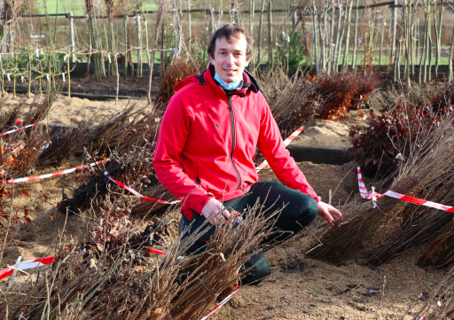 Dans la Somme, les Pépinières Crété se développent