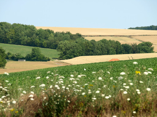 Collectivités et agriculteurs unis pour lutter contre le changement climatique