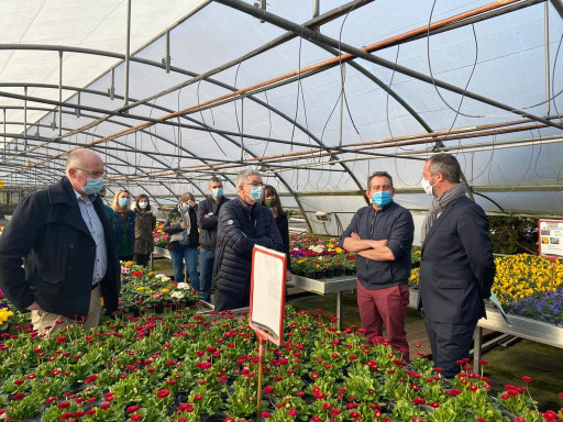 Filière horticole : l’inquiétude fleurit dans le Grand Est