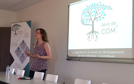 Sève de Com’ à Chauny : une agence de communication globale