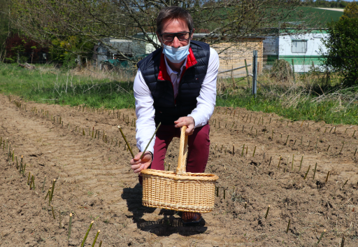De l’osier repousse à La Vannerie du Boisle