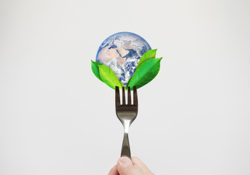 Notre assiette, un casse-tête "durable"