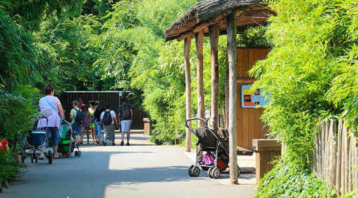 Le zoo d'Amnéville rouvrira ses portes au public