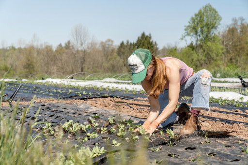 Une nouvelle formation bientôt disponible à Fauville-en-Caux