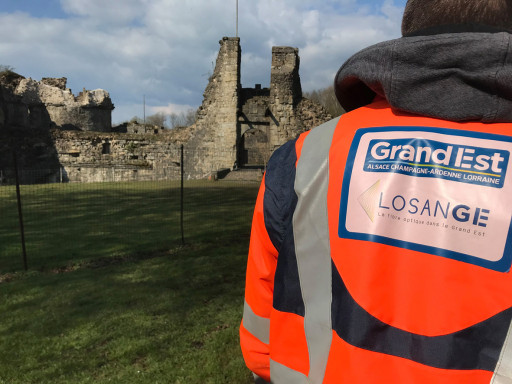 Losange poursuit sa route de la fibre