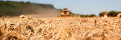 Le comité régional des Grandes cultures des Hauts-de-France établit le bilan des mesures du Plan de relance