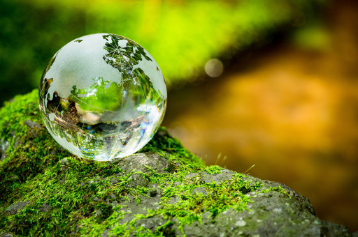 Respect des engagements sur le climat : le Conseil d’Etat impose des mesures supplémentaires au gouvernement
