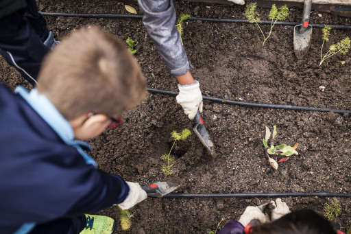 Mâcon : Arc en ciel obtient pour la deuxième fois le label "éco-école"