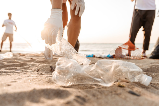 Devoir de vacances : récolter le plastique sur la plage ?
