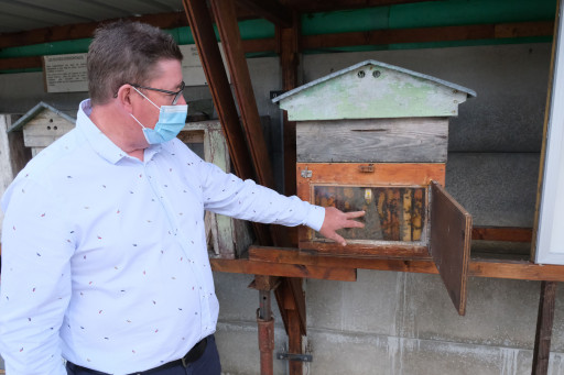 Découvrir le monde des abeilles grâce au Complexe apicole