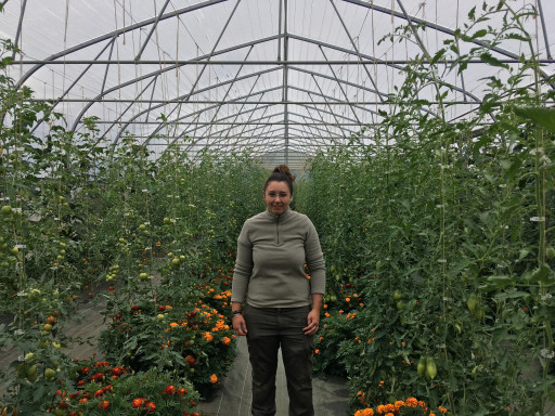 La Paysanne du Coin, un projet maraîcher sain et durable à Vironchaux
