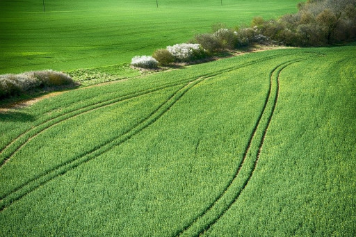 La chambre d’agriculture de la Meuse accompagne les agriculteurs dans l’opération «Plantons des haies»