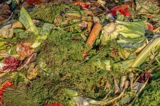 À Dijon, la Chaîne Verte lance un nouveau service de collecte de déchets alimentaires dédié aux professionnels