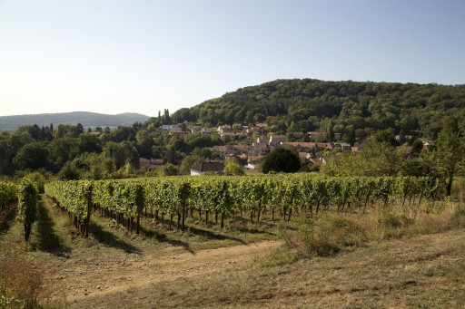 L’AOC Moselle fête ses 10 ans