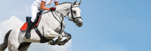 Le Centre équestre de Mâcon-Chaintré obtient une nouvelle classification
