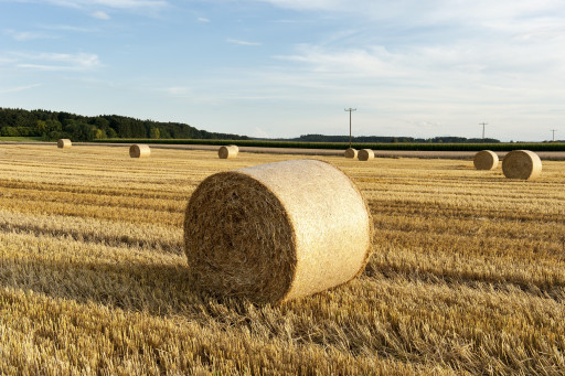 Deux étudiantes d'UniLaSalle veulent créer des filets agricoles biodégradables et comestibles