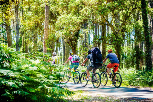 Un été à vélo