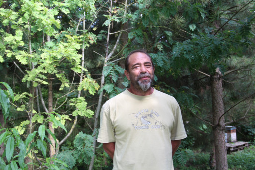 Sylviculture : 2SP lauréat France relance dans l'Oise