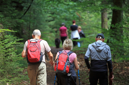 Sarrebourg : une nouvelle application touristique pour découvrir le territoire