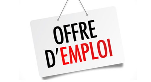 L’Association de coordination des centres socioculturels de Bar-le-Duc recrute trois animateurs (CLAS)
