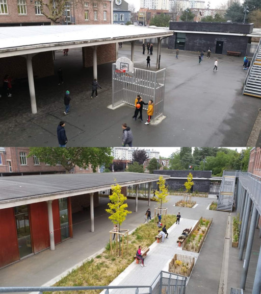 Opter pour une gestion durable des eaux pluviales avec l'Adopta