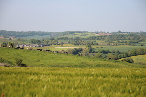Terra Terre, le stockage de carbone près de chez vous
