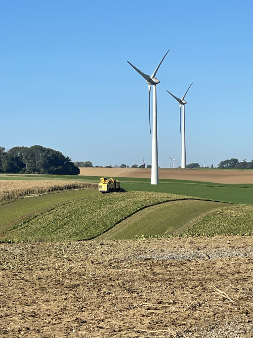 Sainte-Emilie : Cristal Union récolte les fruits de sa transformation en Picardie