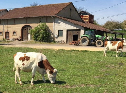 Biogam, ambassadrice mosellane du lait bio, grandit