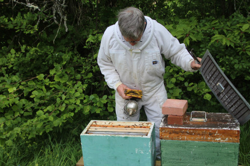 Le miel de tilleul de Picardie en route vers l'IGP