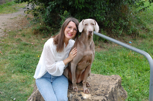 Bientôt un bar à chien à la Rotonde