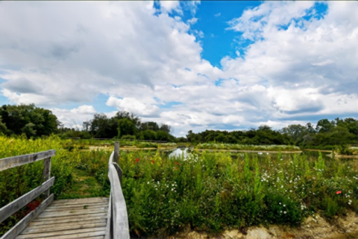 Le site des Ballastières de Damvillers remporte le prix des Trophées de l'Eau