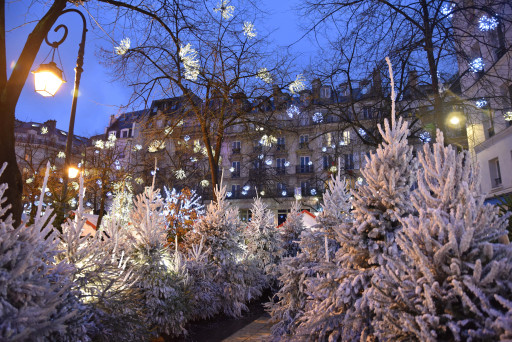 Noël 2021 : Besançon dotée de guirlandes 100% écologiques
