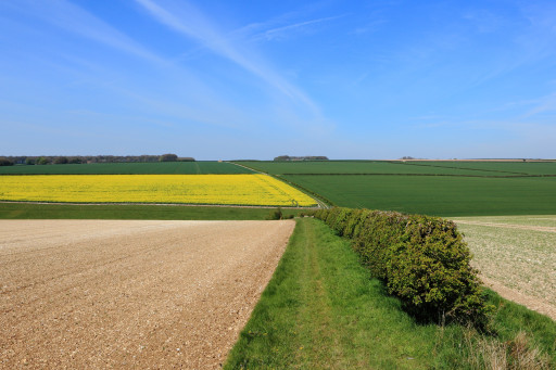 "Plantons des haies !" en Hauts-de-France